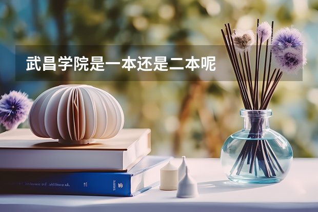 武昌学院是一本还是二本呢