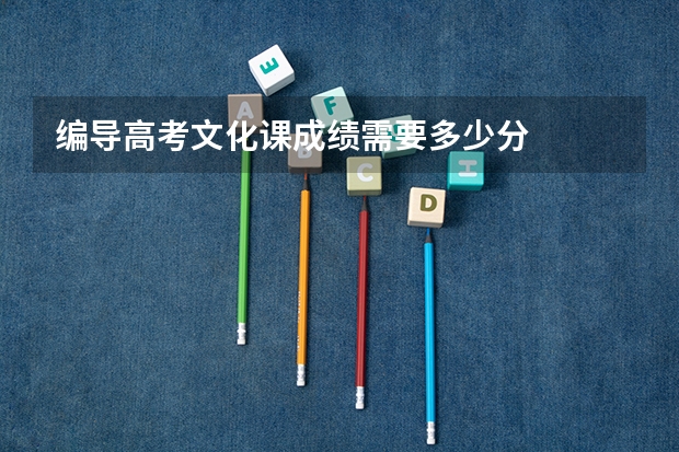 编导高考文化课成绩需要多少分