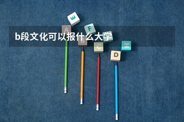 b段文化可以报什么大学