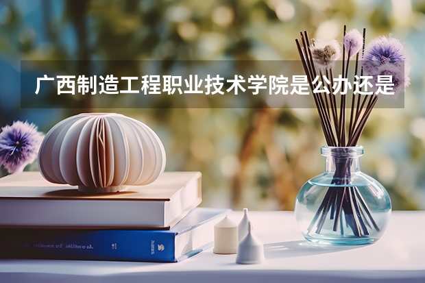广西制造工程职业技术学院是公办还是民办（广西艺术学院几本啊？）