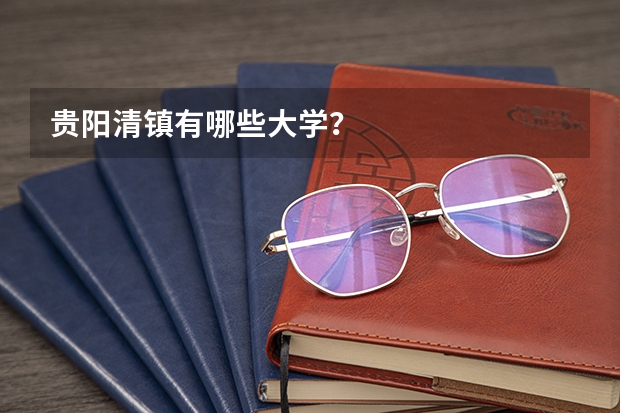 贵阳清镇有哪些大学？