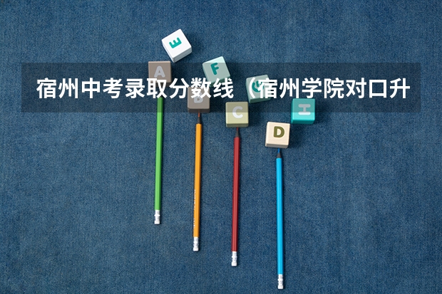 宿州中考录取分数线（宿州学院对口升学录取分数线）