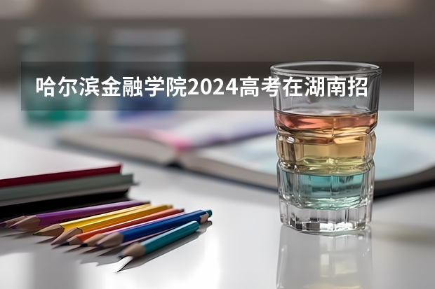 哈尔滨金融学院2024高考在湖南招生计划介绍