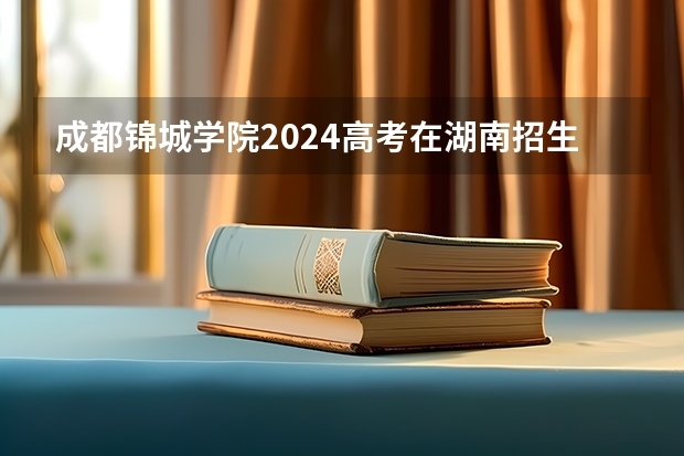 成都锦城学院2024高考在湖南招生计划介绍