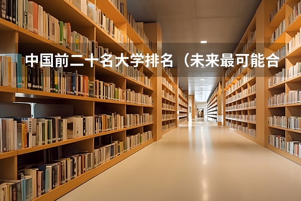 中国前二十名大学排名（未来最可能合并的大学）