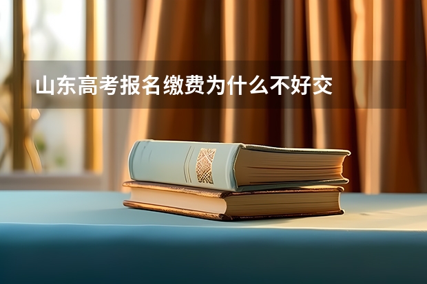 山东高考报名缴费为什么不好交