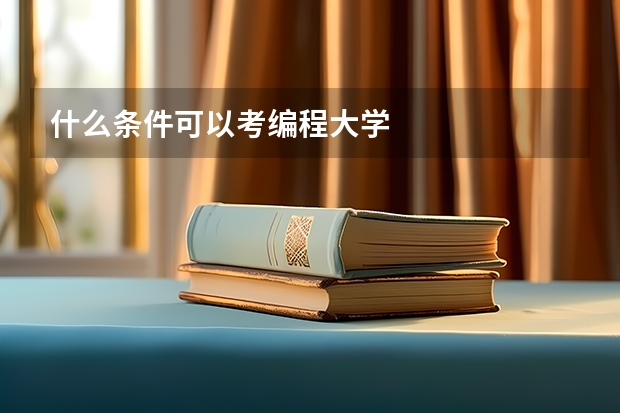 什么条件可以考编程大学