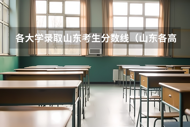 各大学录取山东考生分数线（山东各高校录取分数线）