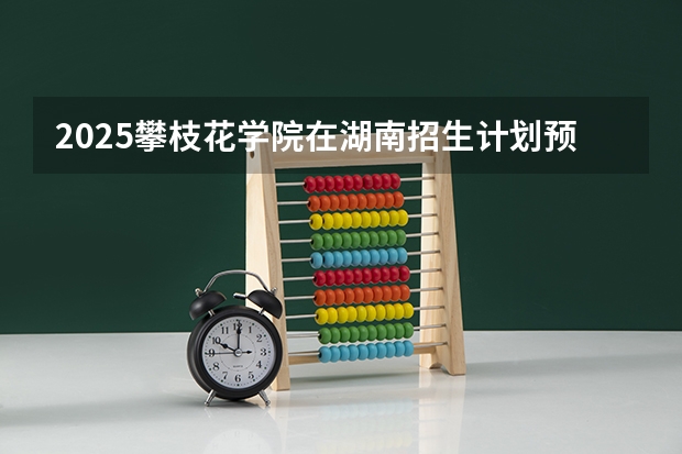 2025攀枝花学院在湖南招生计划预测
