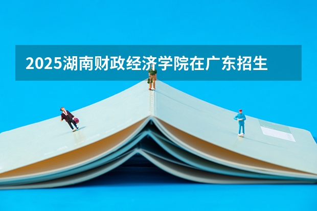 2025湖南财政经济学院在广东招生计划预测