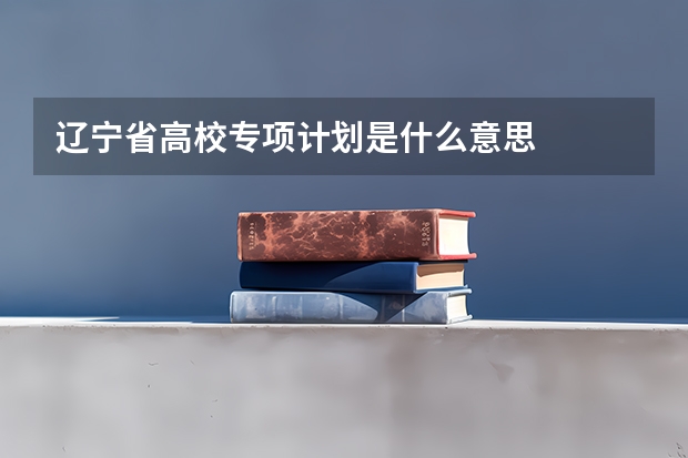 辽宁省高校专项计划是什么意思