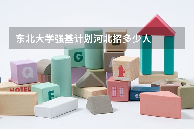 东北大学强基计划河北招多少人