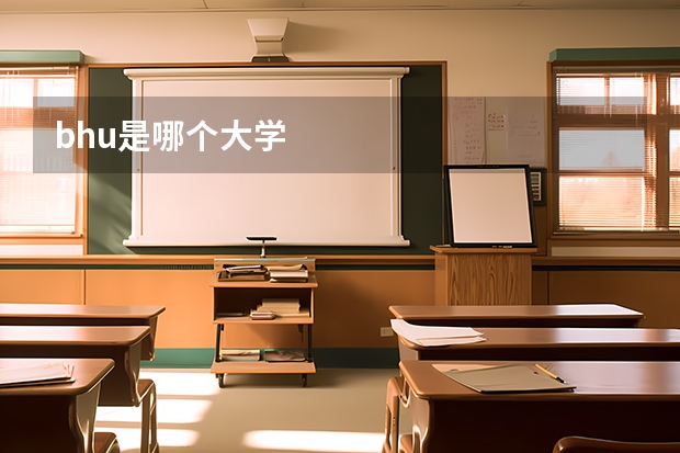 bhu是哪个大学