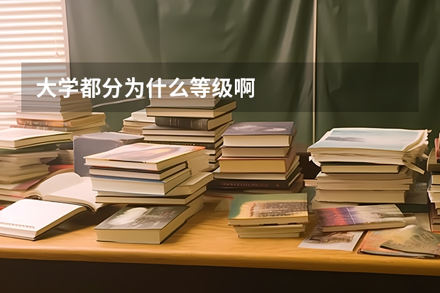 大学都分为什么等级啊