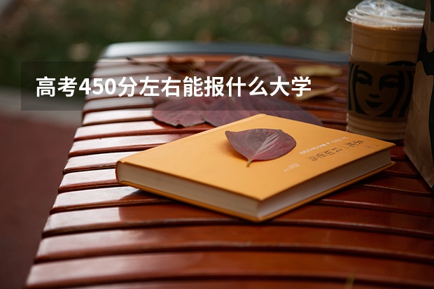 高考450分左右能报什么大学