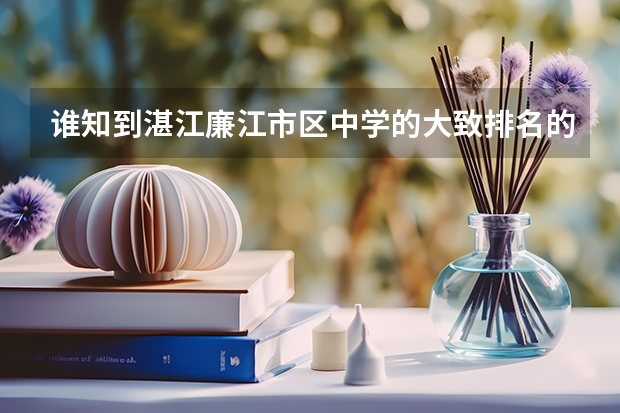 谁知到湛江廉江市区中学的大致排名的，谢谢！！（湛江幼儿师范专科学校是公办还是民办大学？）