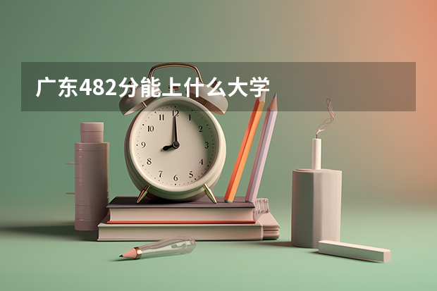 广东482分能上什么大学