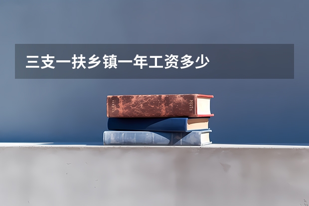 三支一扶乡镇一年工资多少