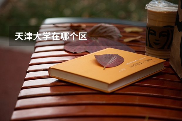 天津大学在哪个区