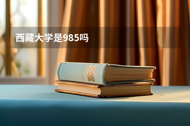西藏大学是985吗