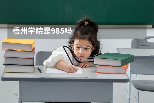 梧州学院是985吗