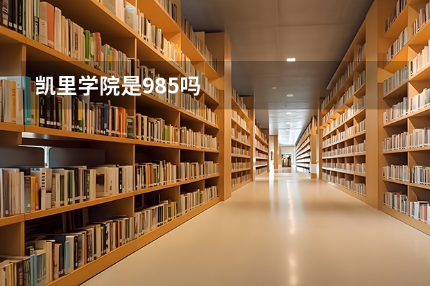 凯里学院是985吗