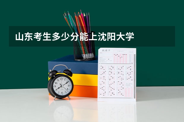 山东考生多少分能上沈阳大学