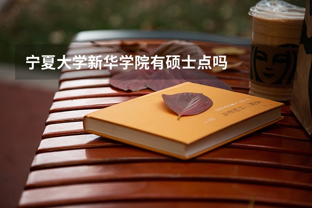 宁夏大学新华学院有硕士点吗
