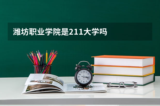 潍坊职业学院是211大学吗