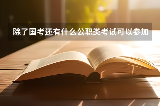 除了国考还有什么公职类考试可以参加？