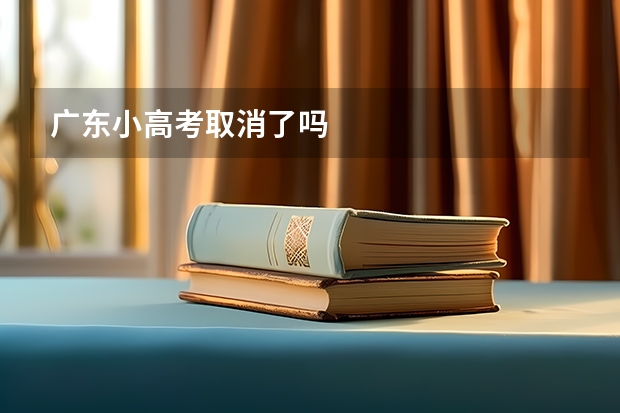 广东小高考取消了吗