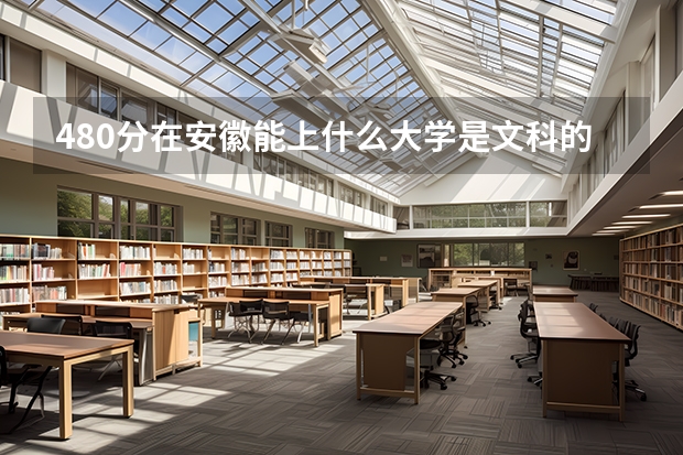 480分在安徽能上什么大学是文科的