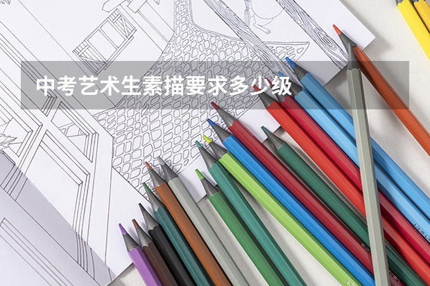 中考艺术生素描要求多少级