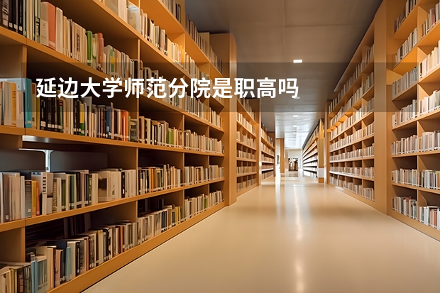 延边大学师范分院是职高吗