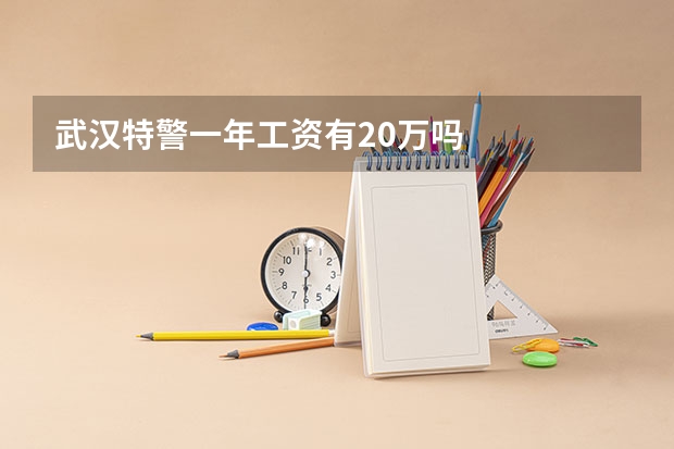 武汉特警一年工资有20万吗