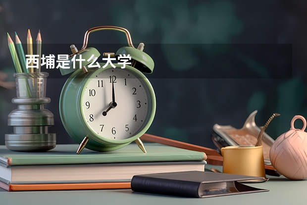 西埔是什么大学