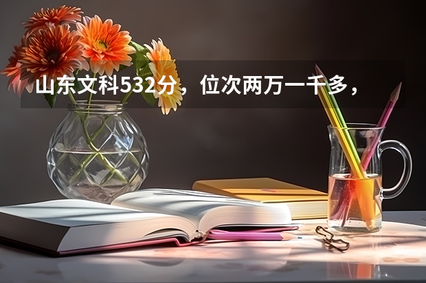 山东文科532分，位次两万一千多，可以去鲁东大学，济南大学或者烟台大学吗？感谢回答！！