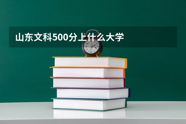 山东文科500分上什么大学