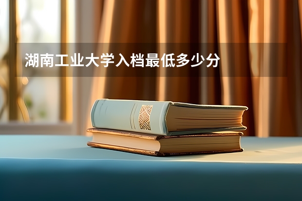 湖南工业大学入档最低多少分