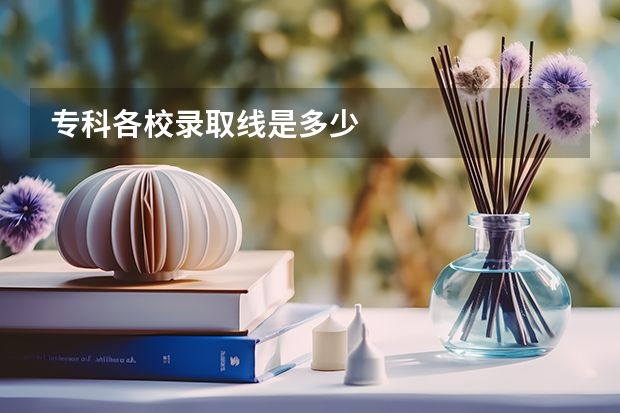 专科各校录取线是多少