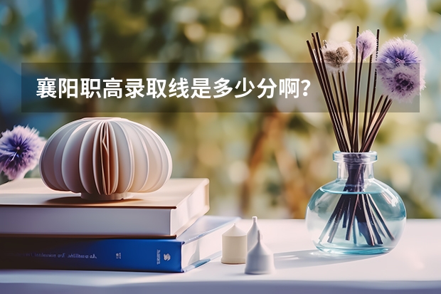 襄阳职高录取线是多少分啊？