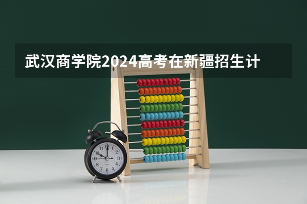 武汉商学院2024高考在新疆招生计划介绍