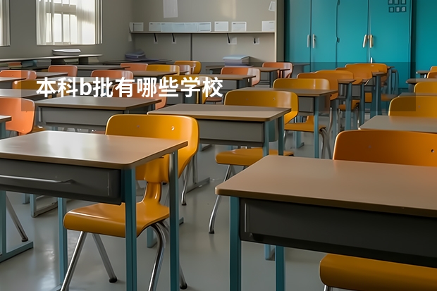 本科b批有哪些学校