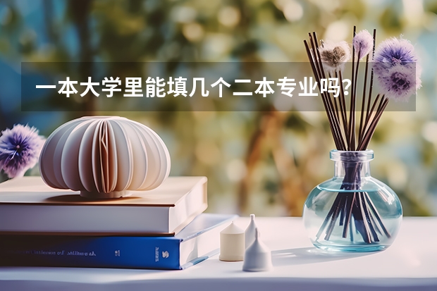 一本大学里能填几个二本专业吗？