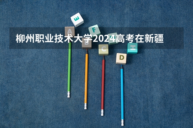 柳州职业技术大学2024高考在新疆招生计划介绍