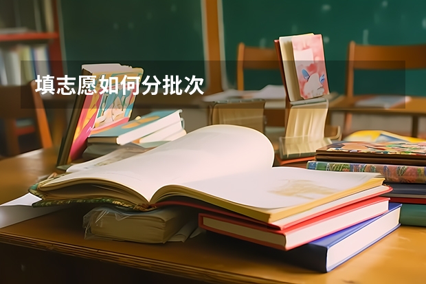填志愿如何分批次