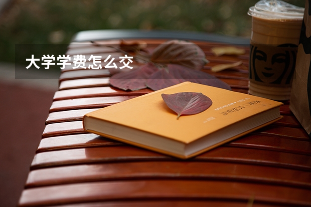 大学学费怎么交