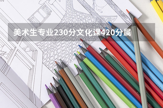 美术生专业230分文化课420分属于哪个档次，能上什么大学呢？