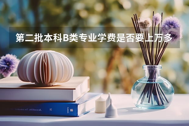 第二批本科B类专业学费是否要上万多块 如果我就读第二批本科B类学校大二的时候学校转为A类 那学费怎样