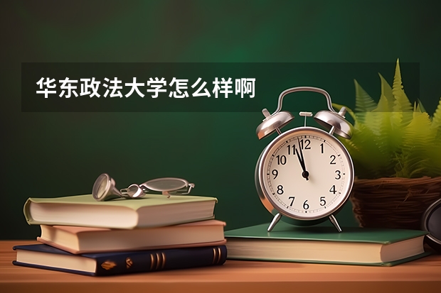 华东政法大学怎么样啊